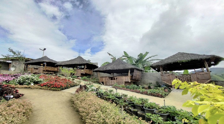 1 Mount Matutum Domesville