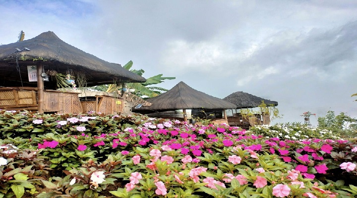 2 Mount Matutum Domesville